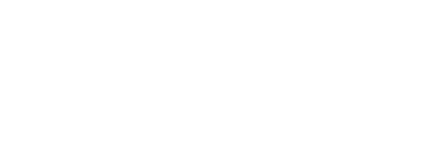 The Bastard